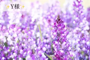 写メ日記 小山真帆 3/5(木) 20:50