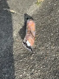 写メ日記 彩星(あやせ) 3/7(土) 16:07