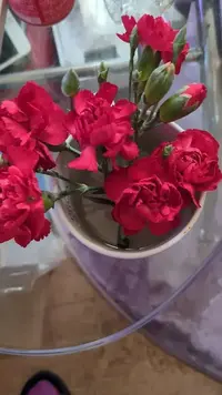 写メ日記 あさみ 3/9(月) 07:42