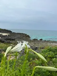 写メ日記 しらほし 3/11(水) 11:49