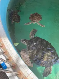 写メ日記 なほ 3/12(木) 13:29