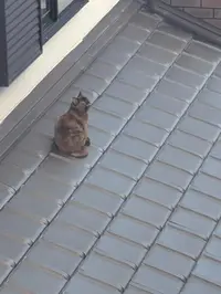 写メ日記 まいな 3/12(木) 21:04