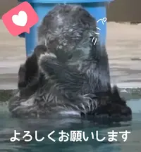 写メ日記 多田朱美 3/14(土) 17:18