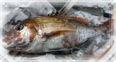 写メ日記 木佐貫あかね 3/18(水) 20:28