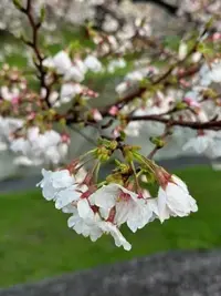 写メ日記 雨宮優子 3/23(月) 09:12