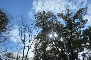 写メ日記 宮本恵美子 3/23(月) 10:46