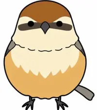 写メ日記 ちふゆ 3/24(火) 12:05