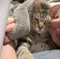 写メ日記 はな 3/26(木) 22:14