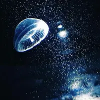 写メ日記 なずな 3/28(土) 03:27