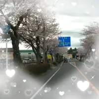 写メ日記 倉本　あゆ 3/28(土) 07:28