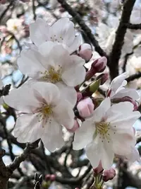 写メ日記 りな 3/28(土) 19:17