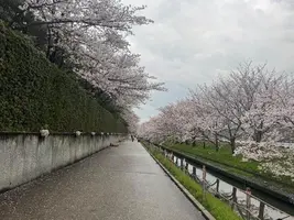 写メ日記 せいら 3/31(火) 18:03