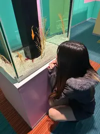 写メ日記 なな 3/31(火) 21:16