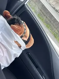 写メ日記 まこと 4/1(水) 14:46