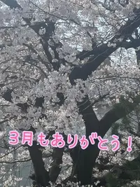 写メ日記 のあ 4/1(水) 17:48