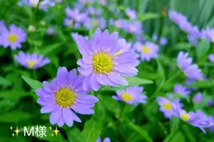 写メ日記 小山真帆 4/3(金) 16:00