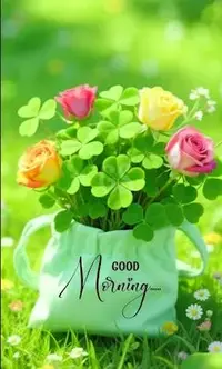 写メ日記 ともこ 4/4(土) 10:18