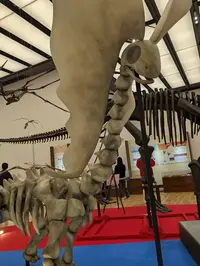 写メ日記 多田朱美 4/4(土) 11:36