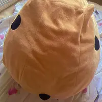 写メ日記 真綾 4/8(水) 05:53