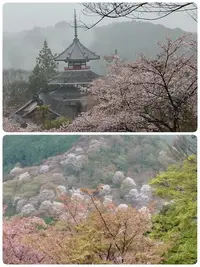 写メ日記 いちか 4/8(水) 07:10