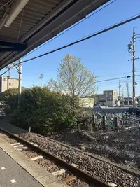 写メ日記 あおい 4/8(水) 16:55