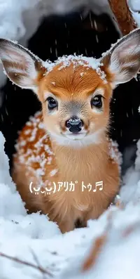 写メ日記 すみ 4/11(土) 11:24