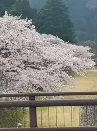 写メ日記 山中瞳 4/11(土) 13:04