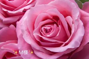 写メ日記 小山真帆 4/16(木) 09:30