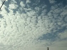 写メ日記 みだら 4/20(月) 09:12