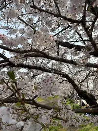 写メ日記 えみり 4/22(水) 14:14