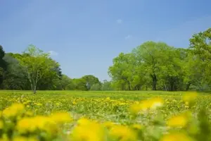写メ日記 はるひ 4/23(木) 08:16