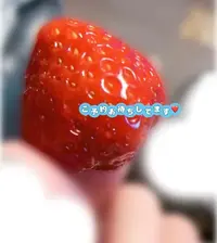 写メ日記 めるる 4/23(木) 09:21