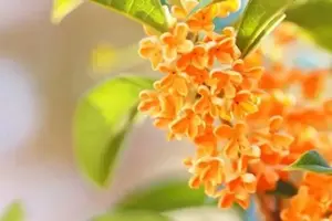 写メ日記 あなすい 4/23(木) 11:15