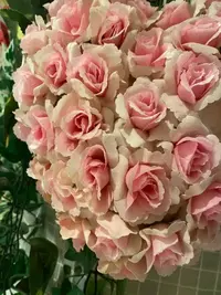 写メ日記 えま 4/23(木) 13:35