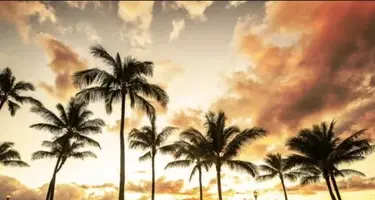 写メ日記 宮本恵美子 4/24(金) 17:08