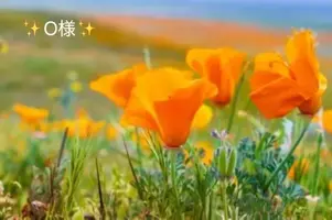 写メ日記 小山真帆 4/25(土) 15:38