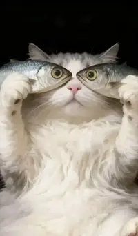 写メ日記 つかさ 4/26(日) 00:29