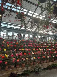 写メ日記 のりか 4/26(日) 10:54