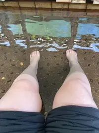 写メ日記 なほ 4/26(日) 12:37