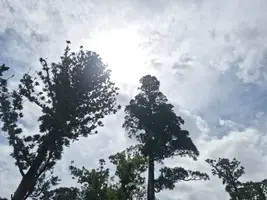 写メ日記 宮本恵美子 4/26(日) 13:52