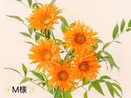 写メ日記 小山真帆 4/26(日) 15:36