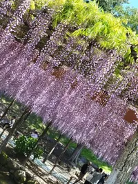 写メ日記 あかね 4/28(火) 09:27