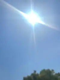 写メ日記 まりあん 4/28(火) 10:51