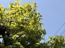 写メ日記 みだら 4/28(火) 13:22