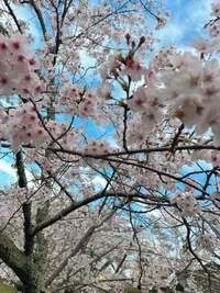 写メ日記 めるる 4/28(火) 15:05