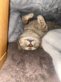 写メ日記 くいん 4/29(水) 04:40