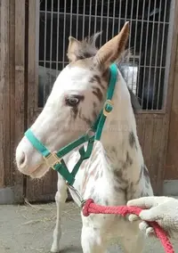 写メ日記 ひみ 5/2(土) 12:14