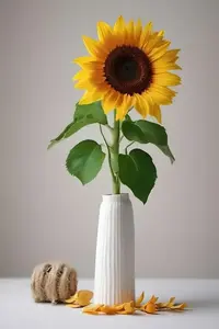 写メ日記 つかさ 5/3(日) 00:27