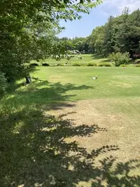 写メ日記 みき 5/4(月) 13:09