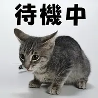 写メ日記 三上りこ 5/6(水) 12:00
